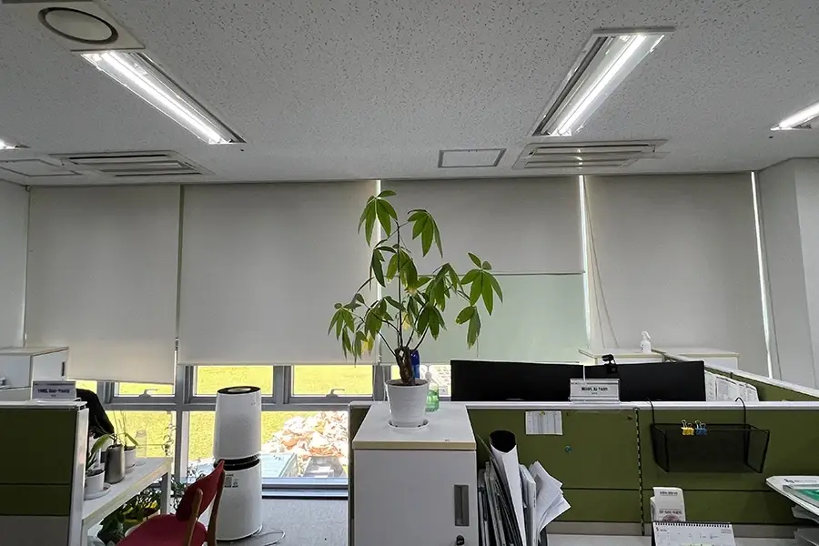 세종 자외선차단필름 시공사진 3